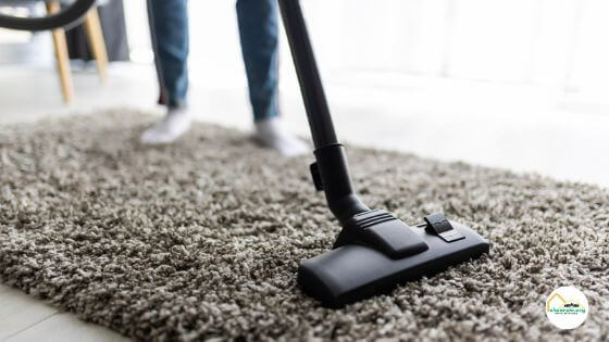 Best vacuum for delicate rugs