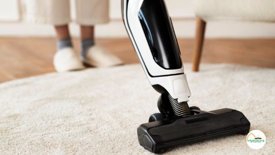 Best vacuum for delicate rugs