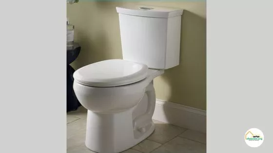 Best Toilets for Basements