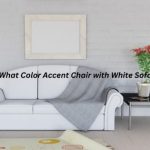 What Color Accent Chair with White Sofa
