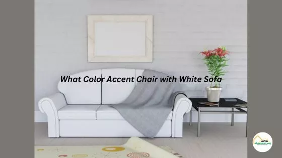 What Color Accent Chair with White Sofa