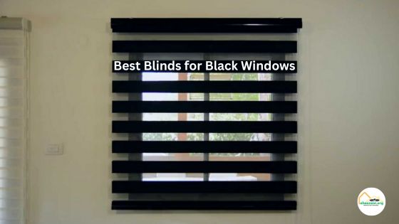 Best Blinds for Black Windows