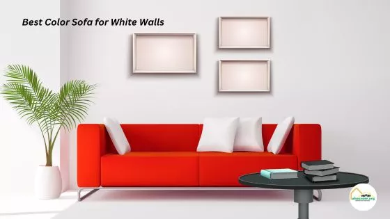 Best Color Sofa for White Walls