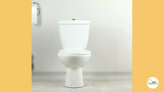 Best Toilets for Basements