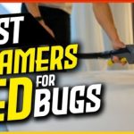 Best Steamer to Kill Bed Bugs