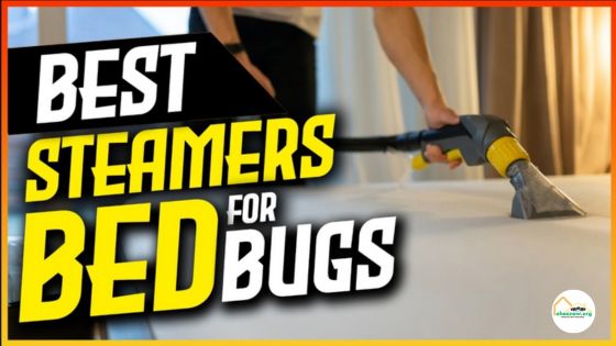 Best Steamer to Kill Bed Bugs
