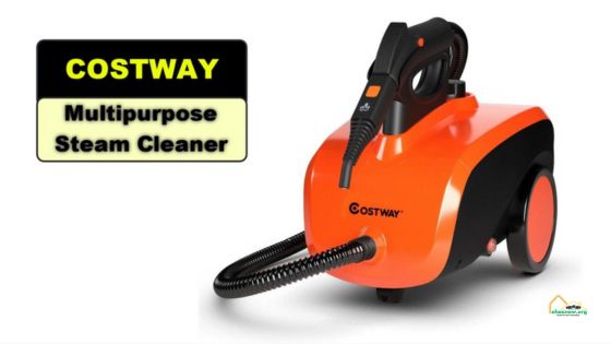 best steamer to kill bed bugs
