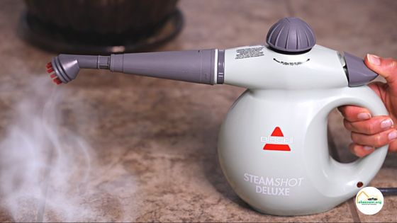 best steamer to kill bed bugs